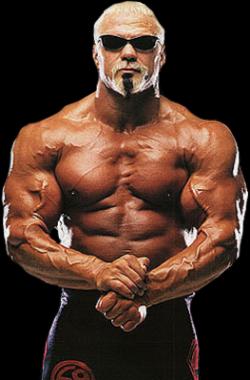 Scott Steiner