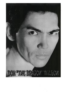 Don 'The Dragon' Wilson