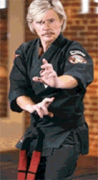 zen in the martial arts by joe hyams