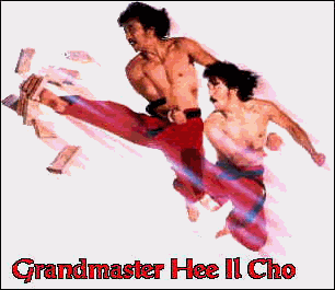 Master Hee Il Cho